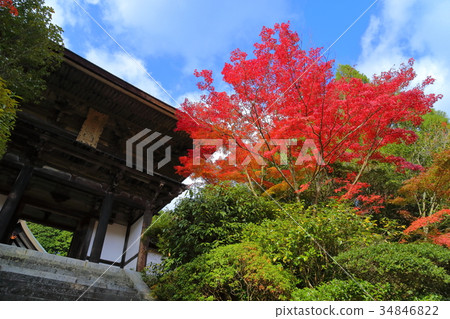 Enneiji Temple Tower gate and colored leaves 34846822