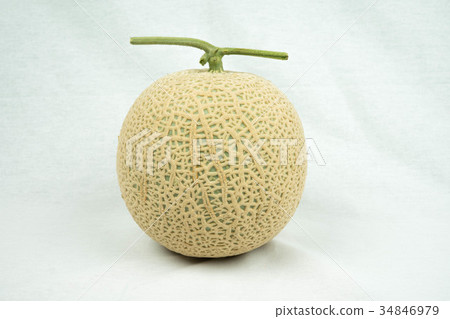 melon melon 34846979