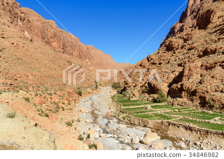 Todgha Gorge in Morocco Todgha Gorge in Morocco 34846982