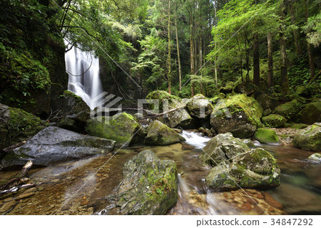 柿子樹瀑布(和歌山縣佐賀縣) 柿子樹瀑布(和歌山縣佐賀縣) 34847292