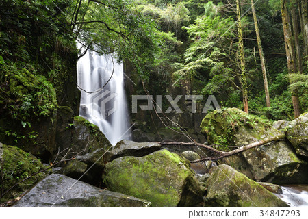 柿子樹瀑布（和歌山縣佐賀縣） 34847293