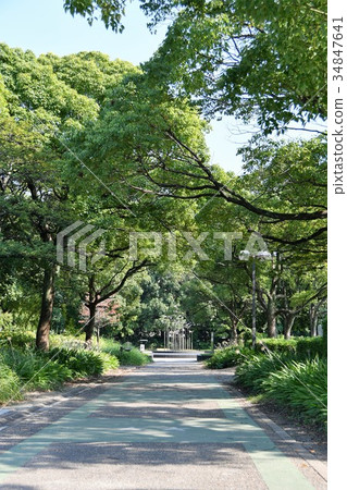 Motohama Park東海市 Motohama Park東海市 34847641