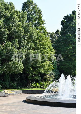 Motohama Park東海市 Motohama Park東海市 34847661