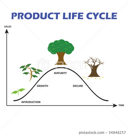 Product Life Cycle on White Background Product Life Cycle on White Background 34848257