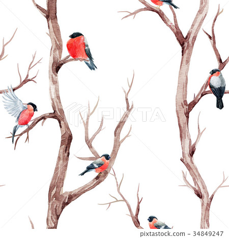 Fall trees and birds pattern - Stock Illustration [34849247] - PIXTA