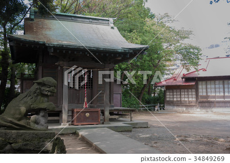 Yasaka Shrine Yasaka Shrine 34849269