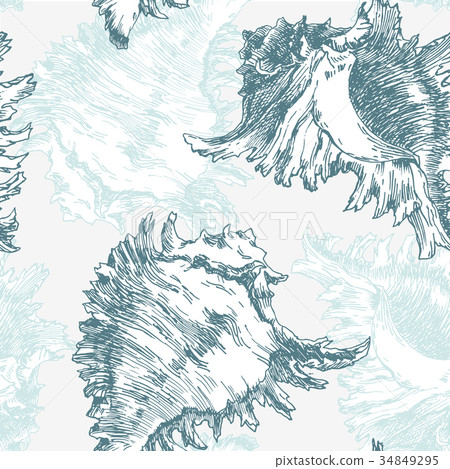 Vector sea shell pattern 34849295