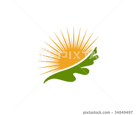 Maple Oak Leaf Logo template 34849497