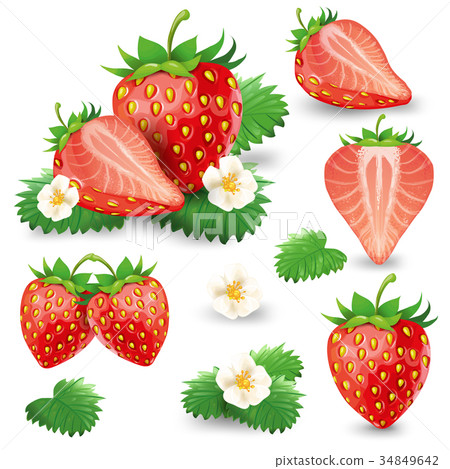 Ripe strawberry with leaves and blossom vector set 34849642