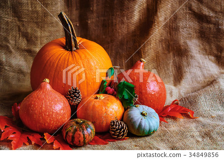 Variuos pumpkins on rustic background Variuos pumpkins on rustic background 34849856