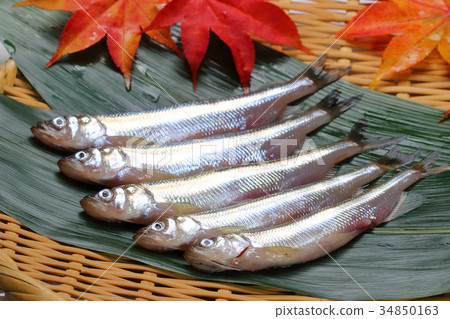 Fresh fresh raw 34850163