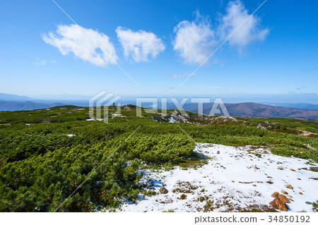 Scenery from Asahidake mirror pond Scenery from Asahidake mirror pond 34850192