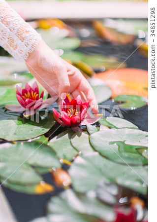 The hand of the bride is touching the waterlilia. 34851298