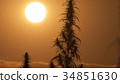 Mid shot of cannabis at the sunset background. 34851630