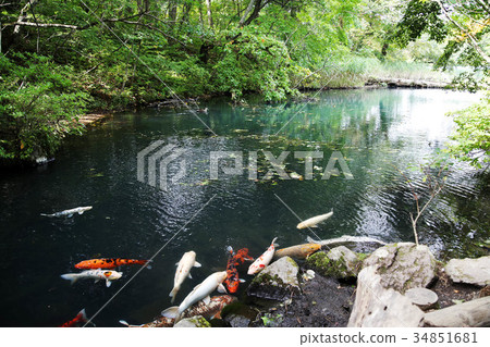Goshikinuma(Bishamon Swamp) Goshikinuma(Bishamon Swamp) 34851681