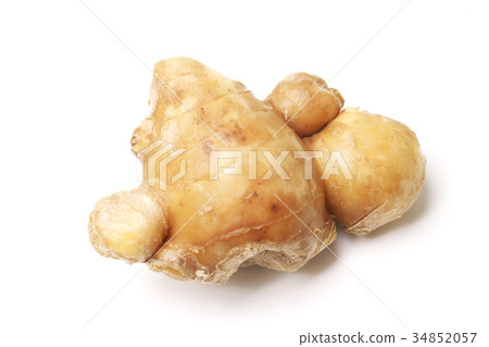 金姜（來自鹿兒島縣） 34852057