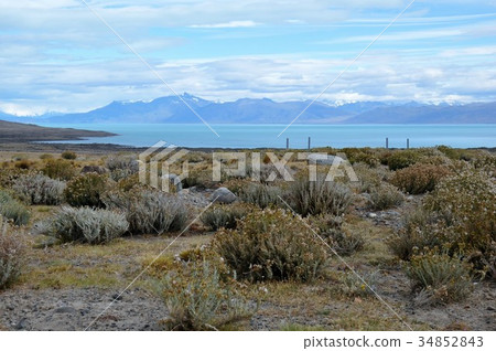 Calafate, Argentino Lake and Andes Mountains 34852843