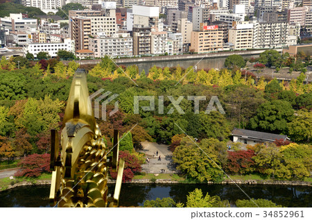 Osaka Castle Golden Castle's Autumn Leaves of Osaka Castle Park 34852961