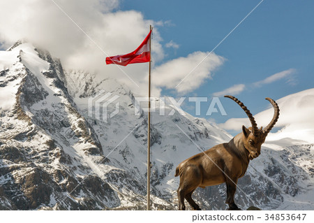 Alpine ibex statue on mountain in Austria. Alpine ibex statue on mountain in Austria. 34853647
