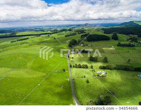 Aerial view sheep farm hill, Rotorua, New Zealand 34854666