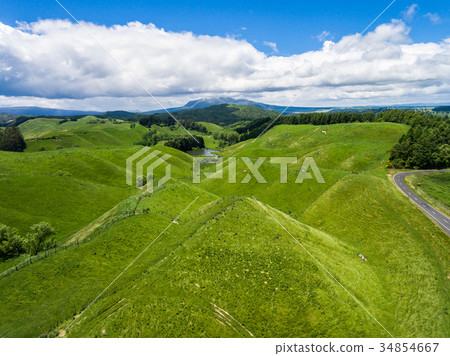 Aerial view sheep farm hill, Rotorua, New Zealand Aerial view sheep farm hill, Rotorua, New Zealand 34854667