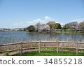 Konomi park 34855218