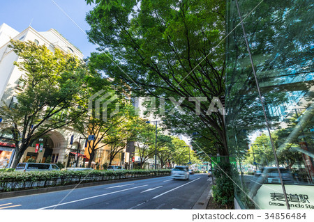 東京表參道 東京表參道 34856484