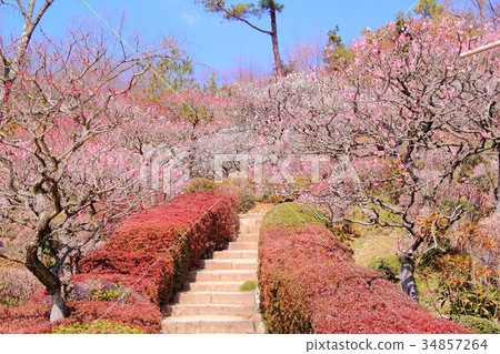 中山寺（寶塚市）Bairin 34857264