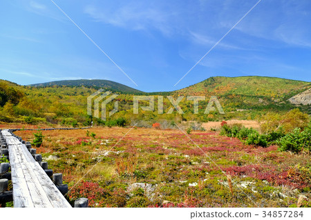 Jodo Plain Jodo Plain 34857284