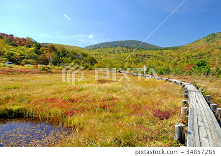 Jodo Plain Jodo Plain 34857285