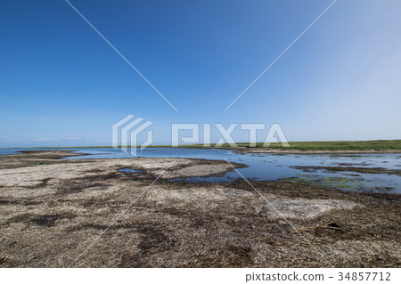 Furen Lake（北部前沿）北海道 34857712