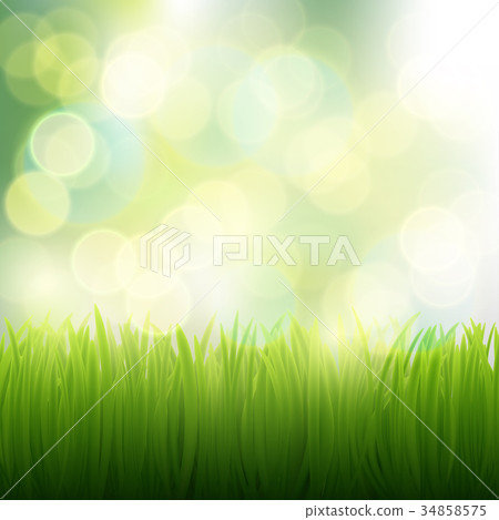 natural background of grass 34858575