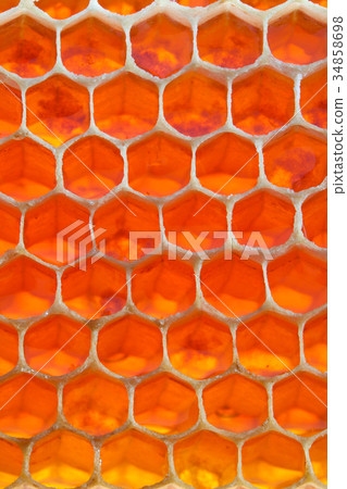 Honeycomb Honeycomb 34858698