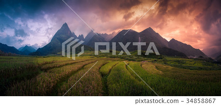 Rice fields on terraced with Mount Fansipan Rice fields on terraced with Mount Fansipan 34858867