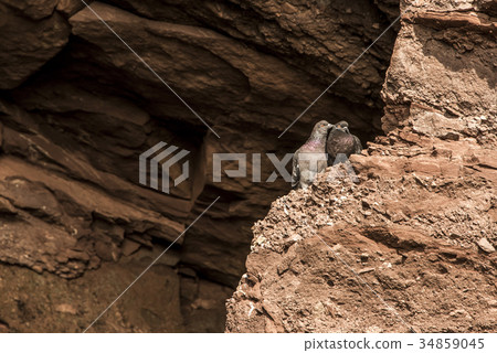 famous Hopewell Rocks geologigal formations at low famous Hopewell Rocks geologigal formations at low 34859045