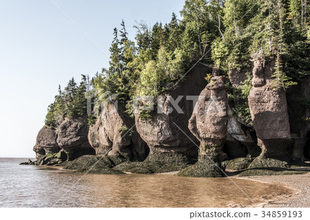 famous Hopewell Rocks geologigal formations at low 34859193