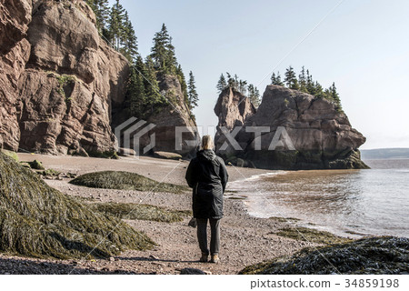 famous Hopewell Rocks geologigal formations at low 34859198