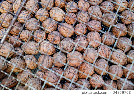 在曬乾的核桃果子 34859708
