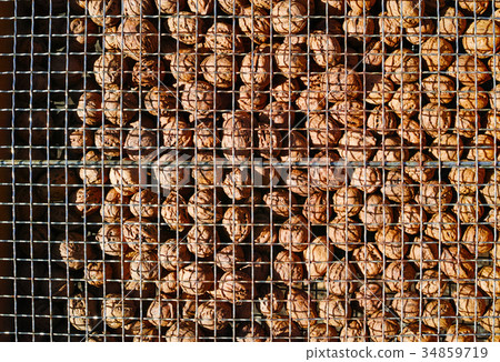 在曬乾的核桃果子 34859719