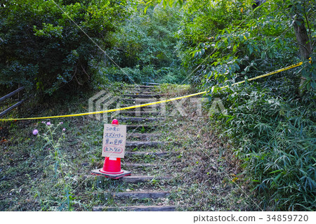 有一窩大黃蜂，沒有入口 34859720