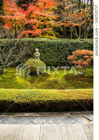 Myoshin寺Katsurin,秋葉在真正的如何的花園 Myoshin寺Katsurin,秋葉在真正的如何的花園 34859737