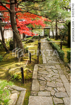 Myoshin寺廟Katsurin,在鵝卵石的秋葉 Myoshin寺廟Katsurin,在鵝卵石的秋葉 34859740