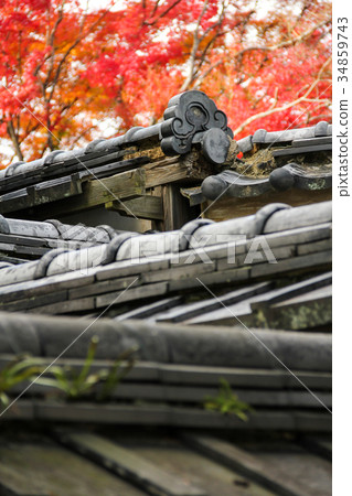 Myoshin寺廟地面,秋天風景 Myoshin寺廟地面,秋天風景 34859743