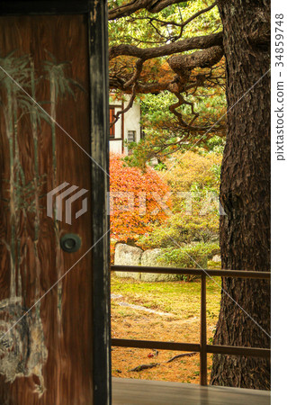 Myoshinji Daishin-in Temple,Mt。 Myoshinji Daishin-in Temple,Mt。 34859748
