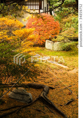 Myoshinji Daishin-in Temple,Douanttsuji在花園裡 Myoshinji Daishin-in Temple,Douanttsuji在花園裡 34859752