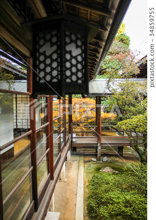 Myoshinji Daishinin, a courtyard with a view of Dodantsuji 34859755