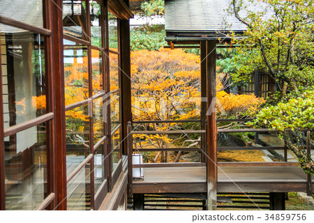 Myoshinji Daishinin,一個庭院,可以看到Dodantsuji Myoshinji Daishinin,一個庭院,可以看到Dodantsuji 34859756