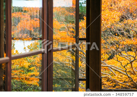 Doshantsuji的Myoshinji Daishin-in,閃閃發光的光柵 Doshantsuji的Myoshinji Daishin-in,閃閃發光的光柵 34859757