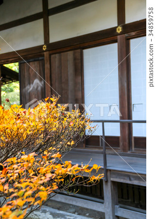 Myoshinji Daishin-in，Dodantsutsuji和Corridor 34859758