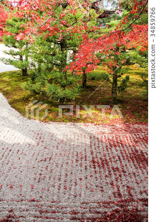 Autumn leaves on white sand of Ninna-ji Temple / south garden Autumn leaves on white sand of Ninna-ji Temple / south garden 34859766